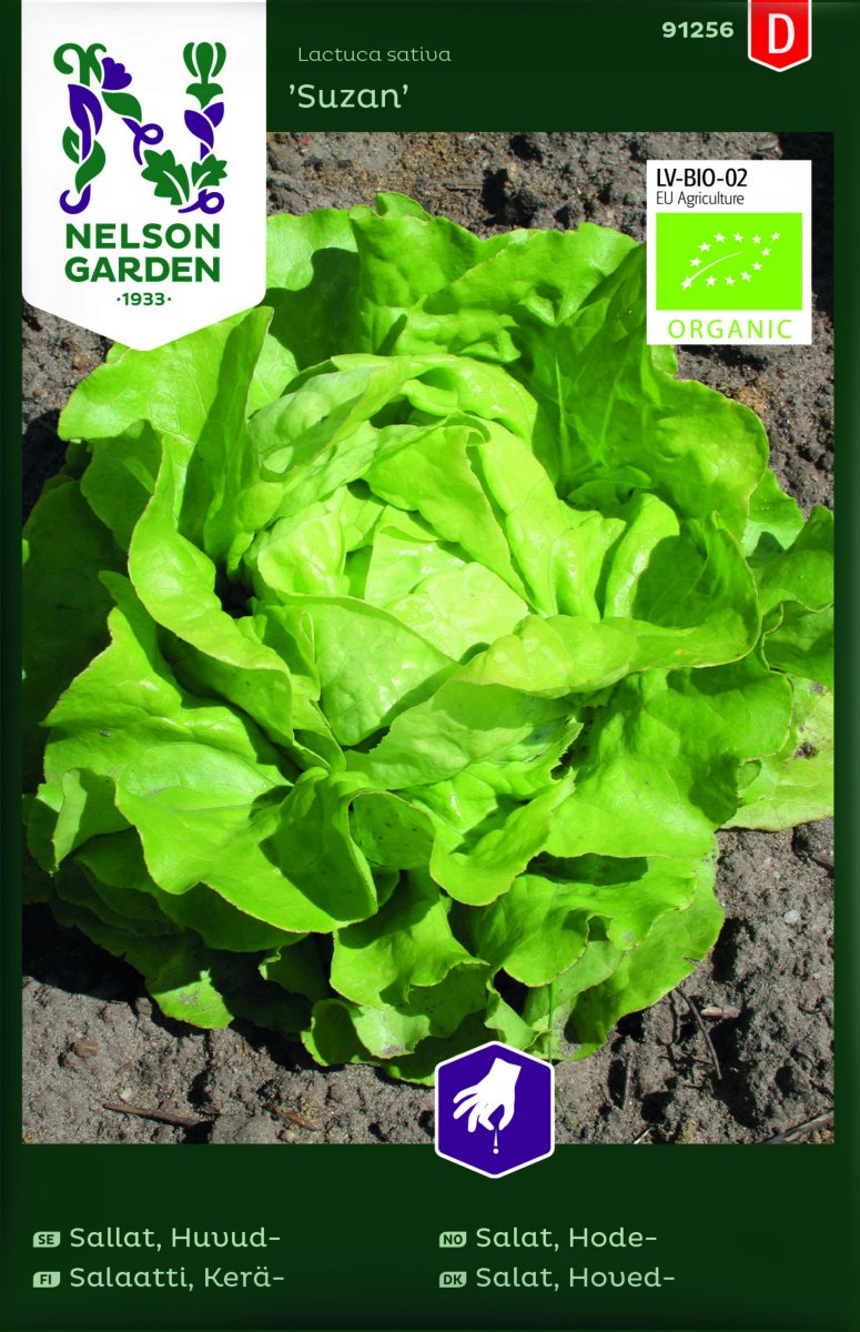 Sallat, Huvud-, Suzan, Ekologisk - Lactuca sativa Suzan