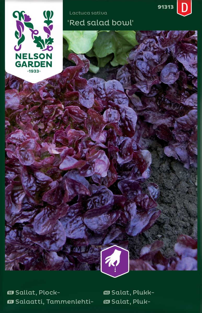 Sallat, Plock-, Red salad bowl - Lactuca sativa Red Salad Bowl