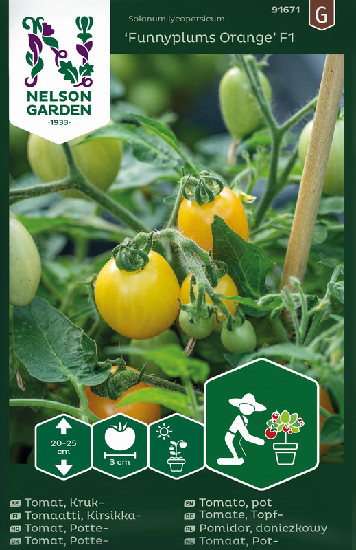 Alternativ bild 1 för Körsbärstomat 'Funnyplums Orange' F1