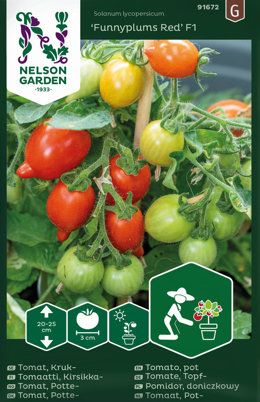 Alternativ bild 1 för Körsbärstomat 'Funnyplums Red' F1