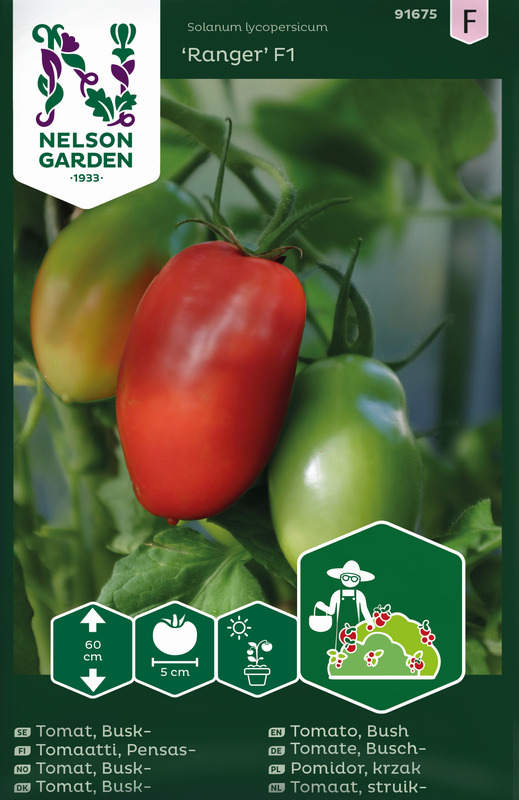 Alternativ bild 1 för Plommontomat 'Ranger' F1