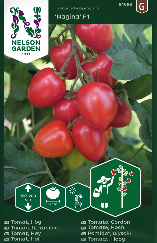Alternativ bild 1 för Plommontomat 'Nagina' F1