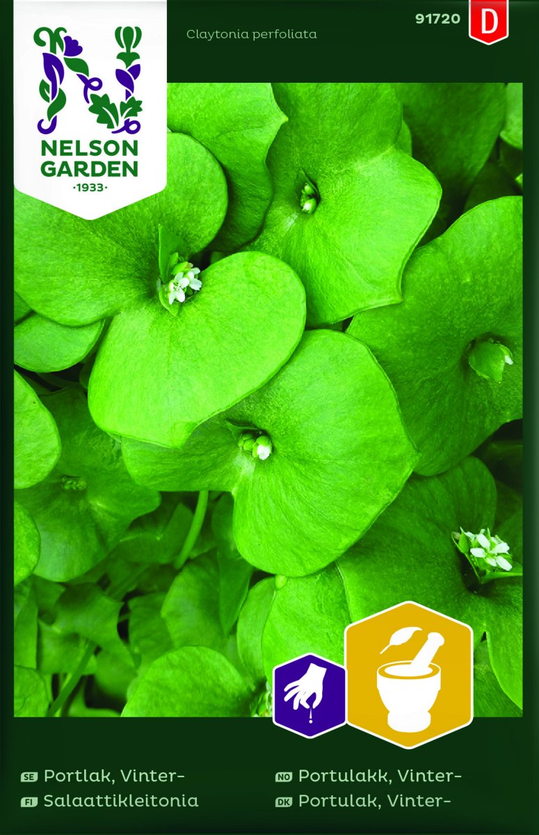 Vinterportlak - Claytonia perfoliata
