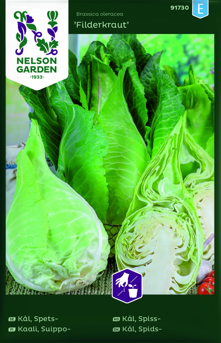 Spetsk&aring;l Filderkraut - Brassica oleracea Fielderkaraut