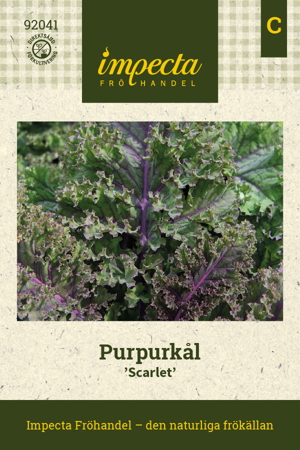 Purpurk&aring;l Scarlet - Brassica oleracea Scarlet