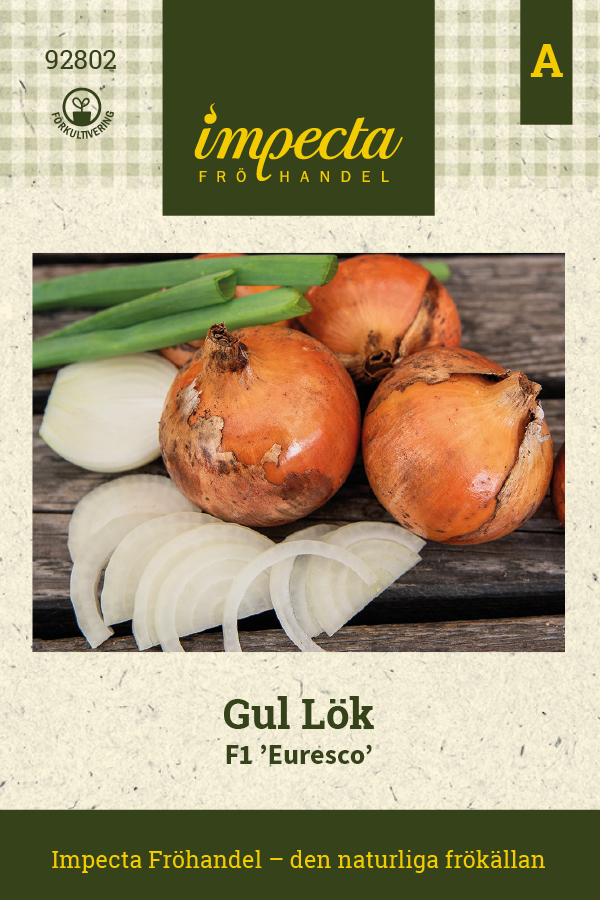 Gul Lök F1 Euresco - Allium cepa F1 Euresco