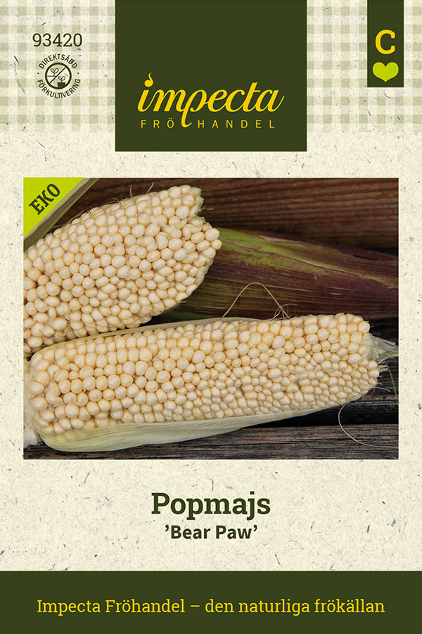 Majs, Pop-, Bear Paw - Zea Mays Bear Paw