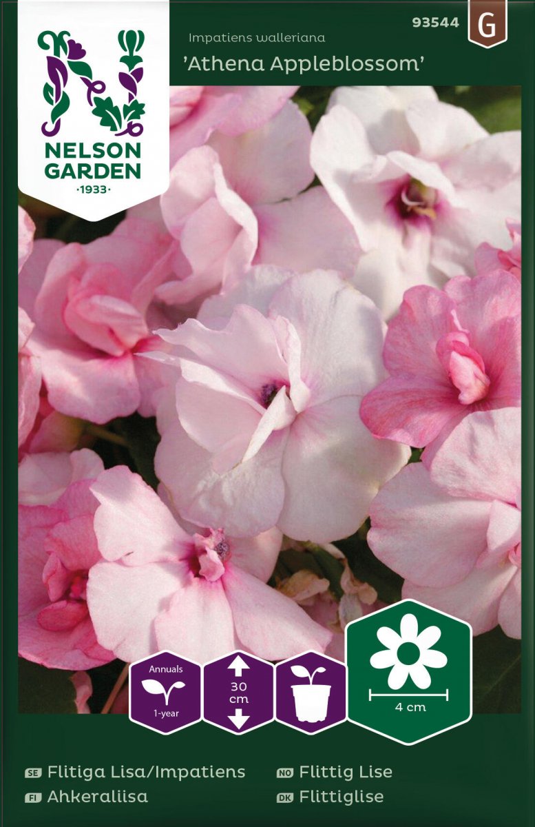 Flitiga Lisa Athena Appleblossom F1 - Impatiens walleriana Athena Appleblossom F1