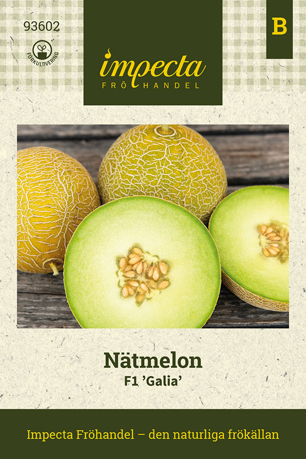 Nätmelon Galia F1 - Cucumis melo F1 Galia