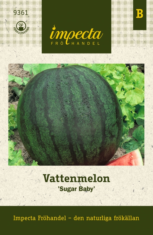 Vattenmelon Sugar Baby - Citrullus lanatus Sugar Baby