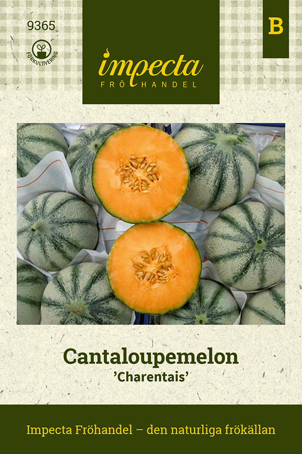 Cantaloupemelon Charentais Melon / Aubergine