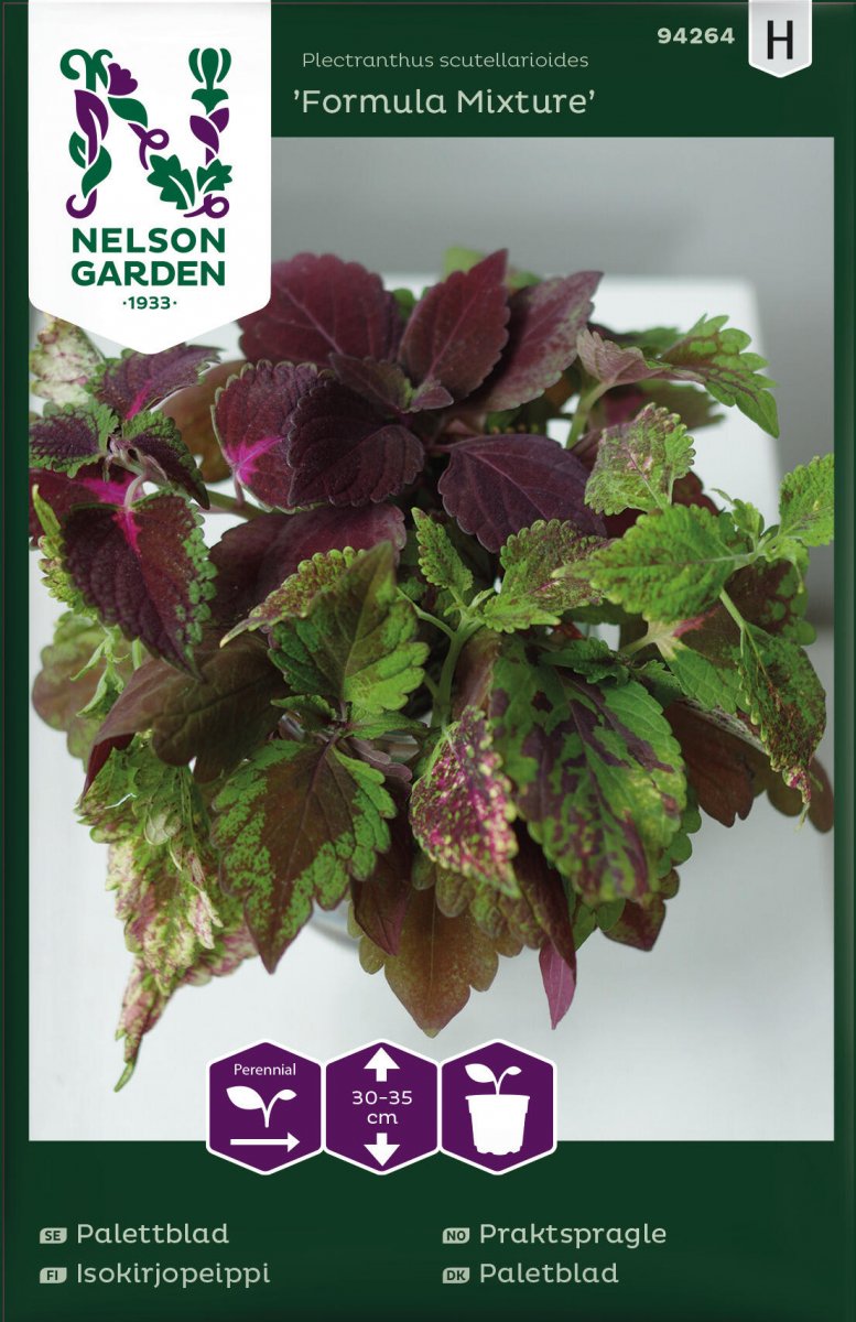 Palettblad Formula Mixture - Plectranthus scutellarioides Formula Mixture
