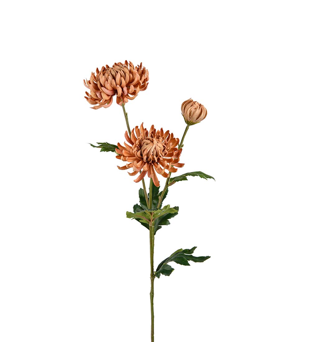 Chrysanthemum Beige 60cm, Konstgjord