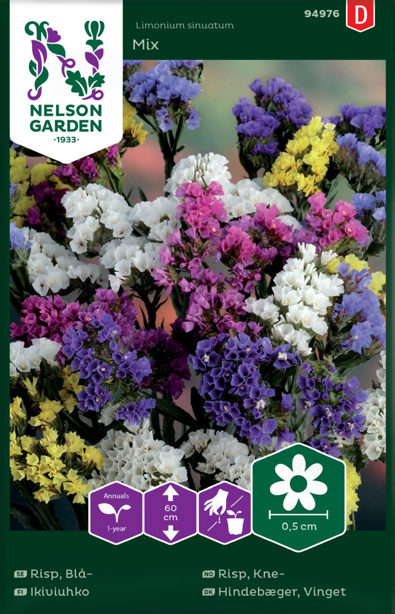 Blårisp Mix - Limonium sinuatum