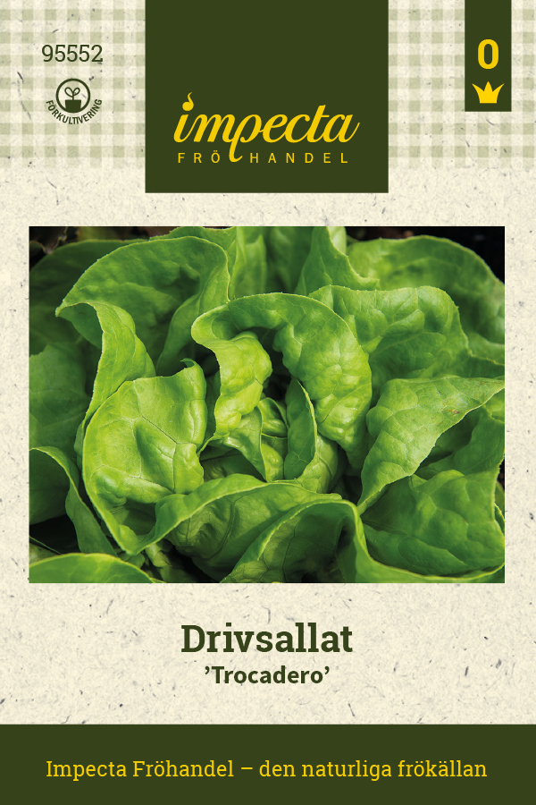 Sallat, Driv-, Trocadero