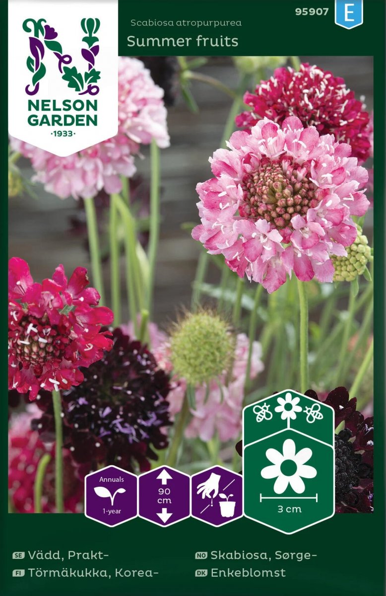 Praktv&auml;dd, Summer Fruits - Scabiosa atropurpurea
