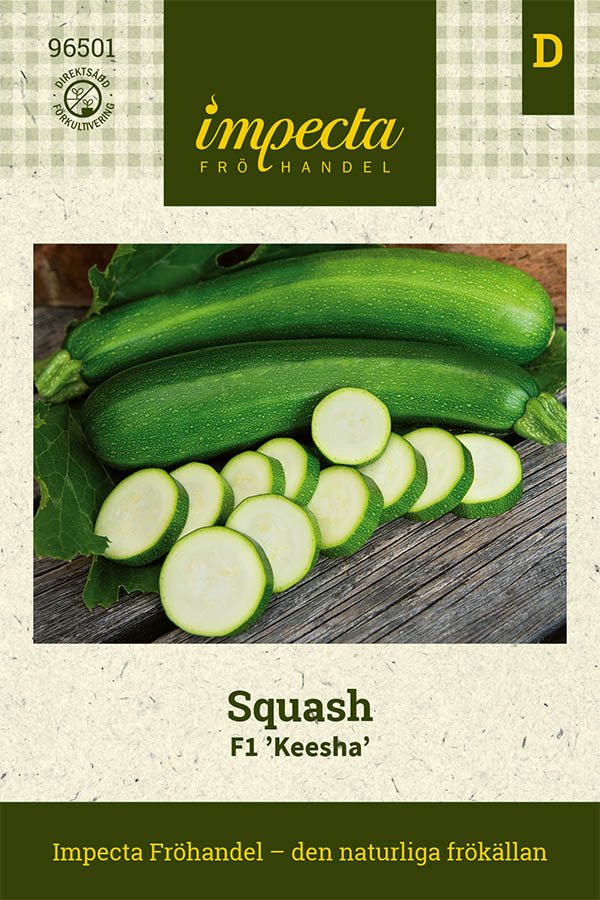 Squash, F1 Keesha - Cucurbita pepo (Zucchini-gr) F1 Keesha