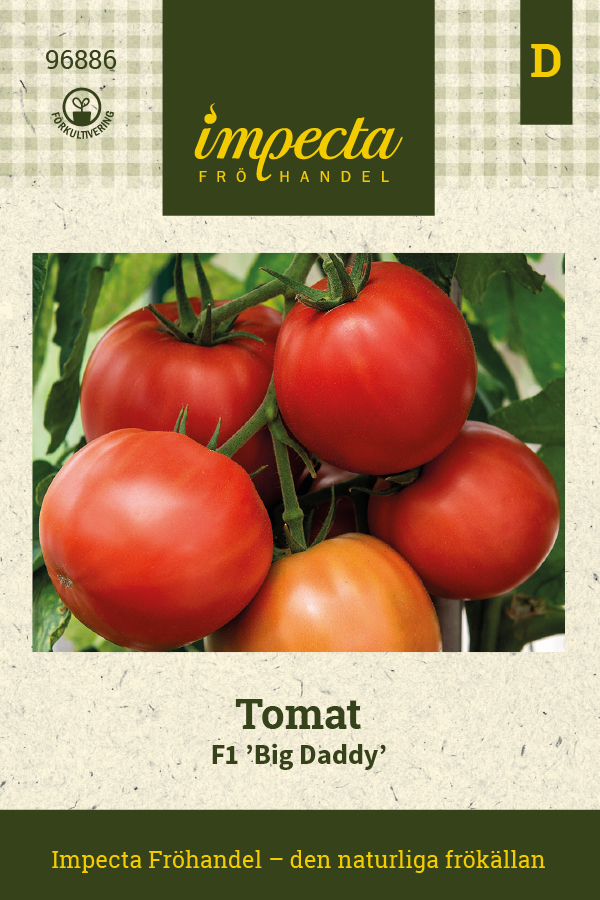 Tomat F1 Big Daddy - Solanum lycopersicum F1 Big Daddy