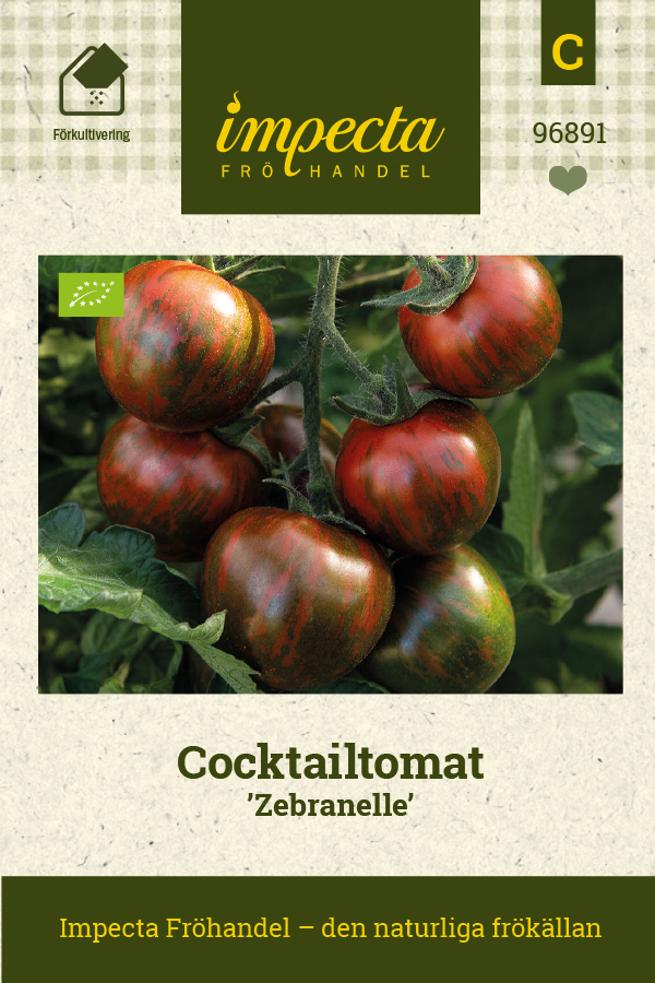 Cocktailtomat Zebranelle, Ekologisk - Solanum lycopersicum Zebranelle