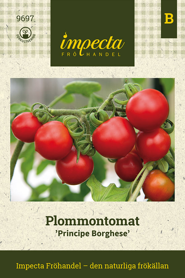Plommontomat Principe Borghese - Solanum lycopersicum Principe Borghese