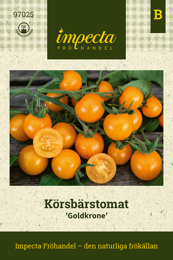 Körsbärstomat Goldkrone - Solanum lycopersicum Goldkrone