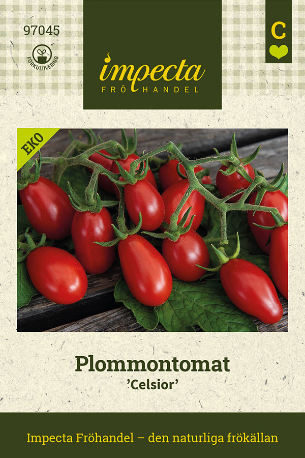 Plommontomat Celsior, Ekologisk - Solanum lycopersicum Celsior