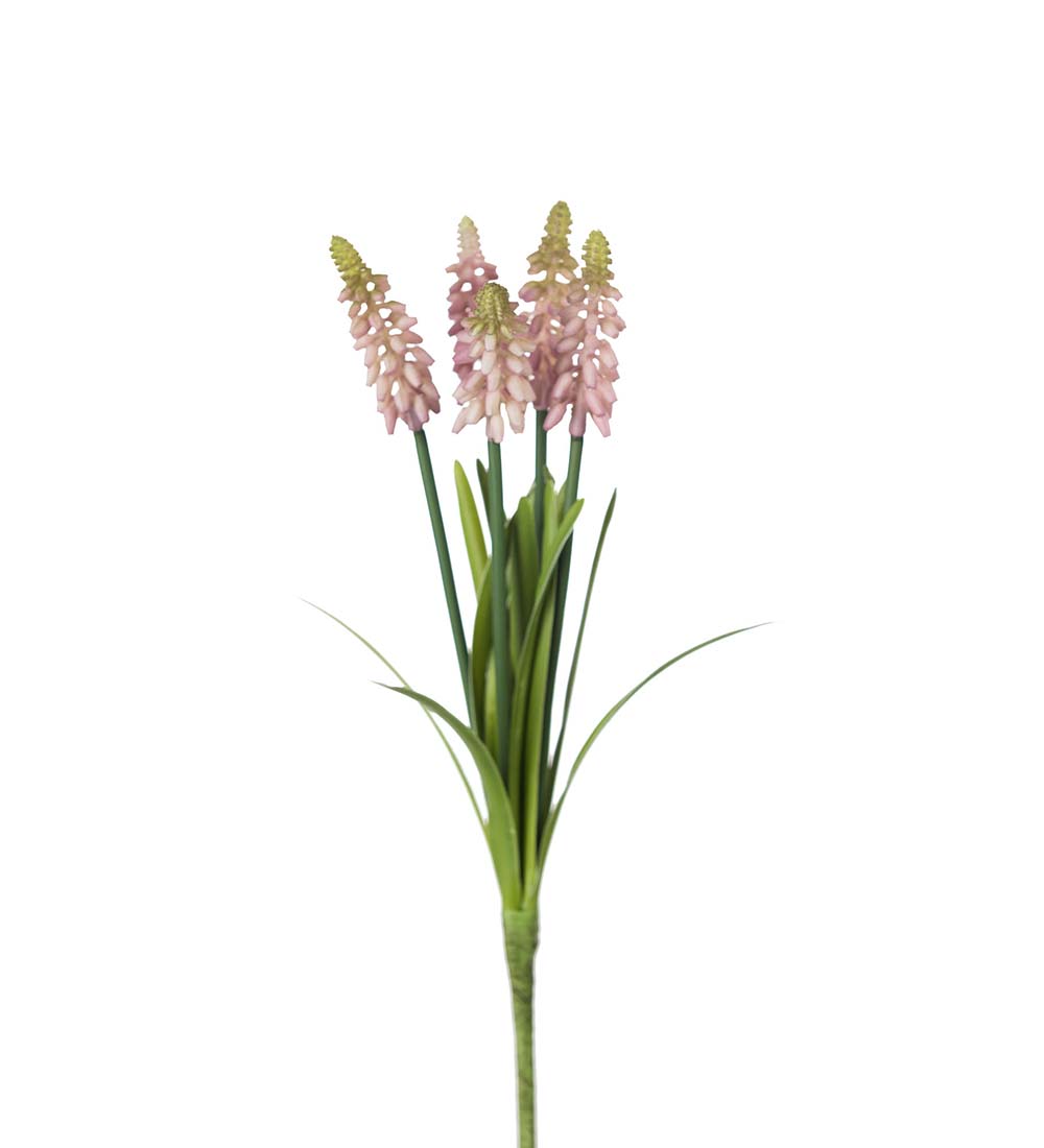 Pärlhyacint Rosa 30cm