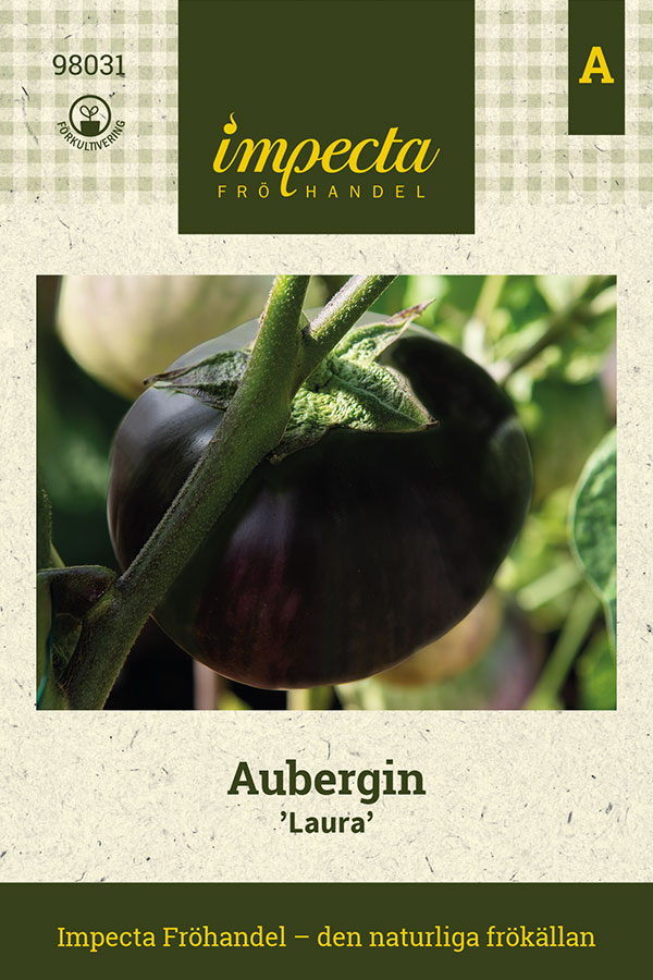 Aubergin Laura - Solanum melongena Laura