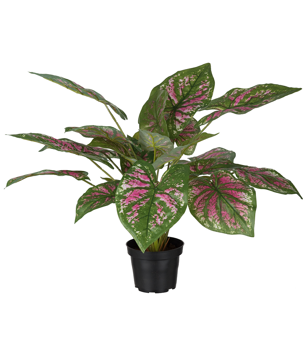 Caladium 40cm, Konstgjord