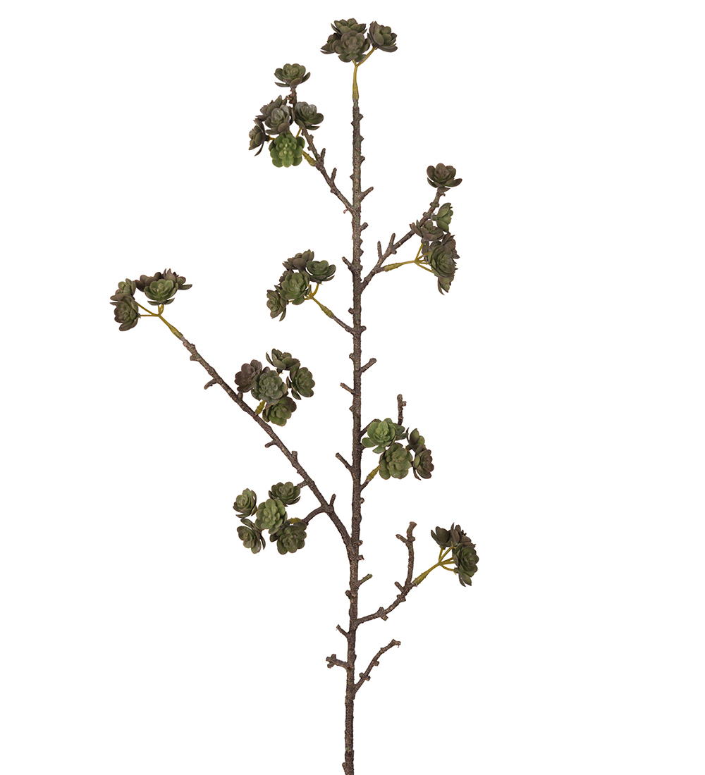 Echeveria Gr&ouml;n 80cm, Konstgjord