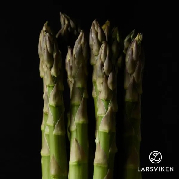 Sparriskronor 5-pack - Asparagus officinalis Grolim