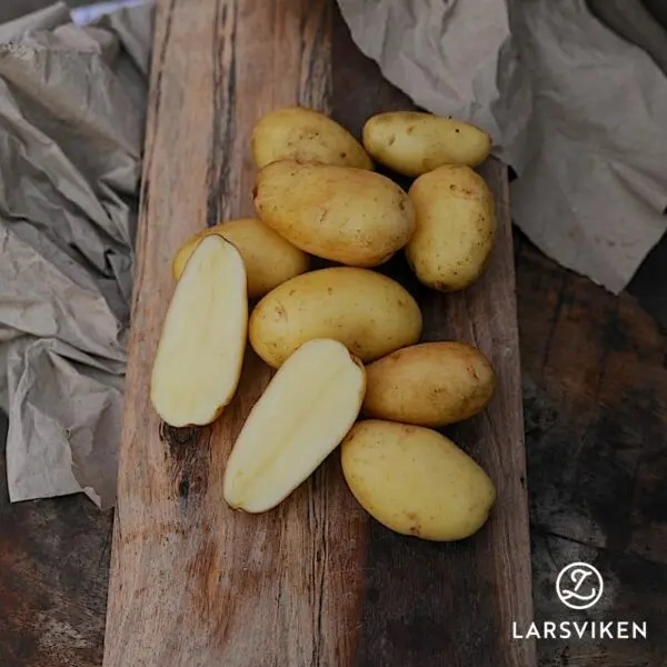 Sättpotatis La Vie (Storlek: 1kg)