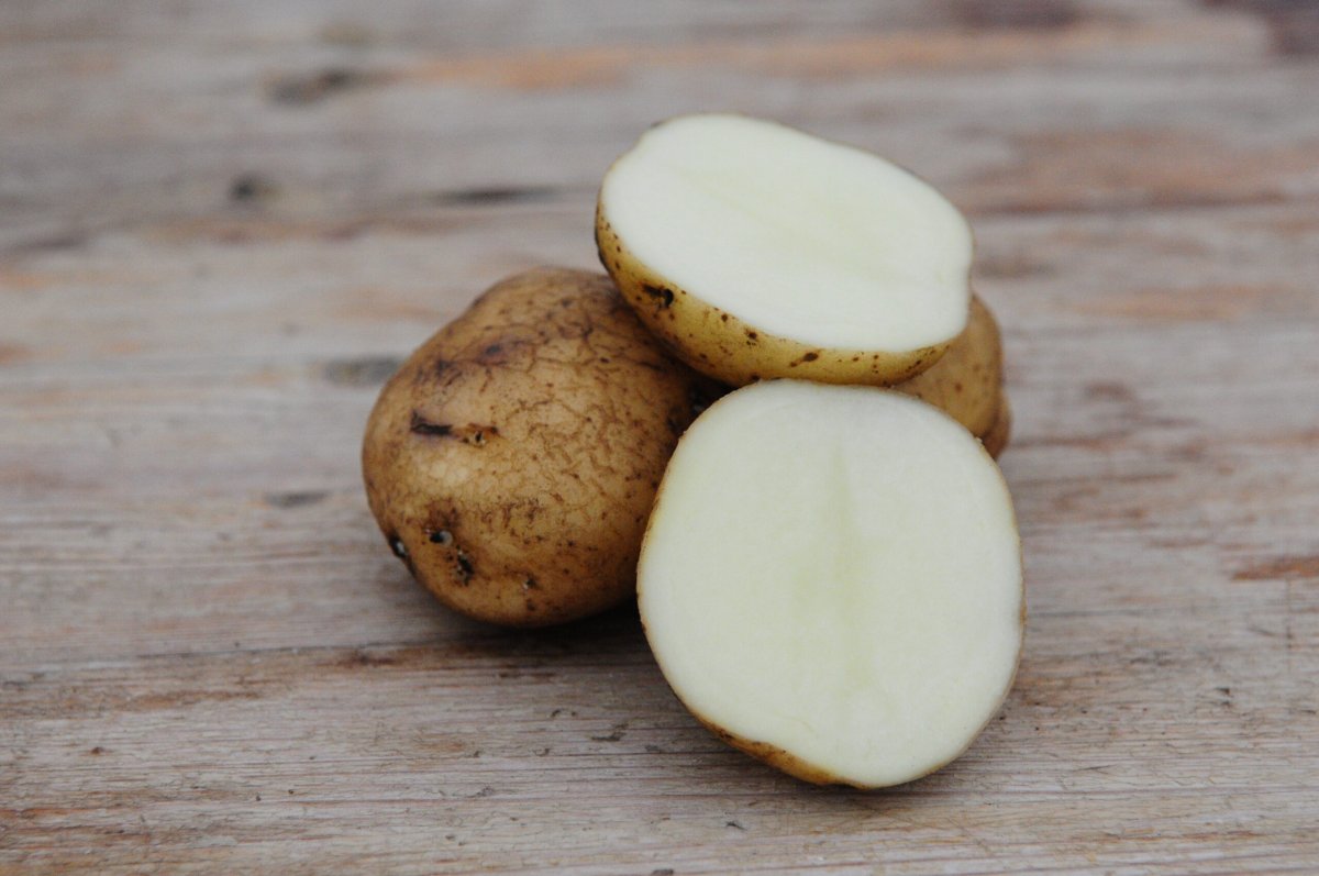 Sättpotatis British Queen (Snöboll) (Storlek: 1kg)