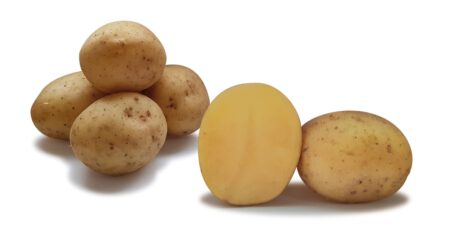 Sättpotatis Dior (Storlek: 1kg)
