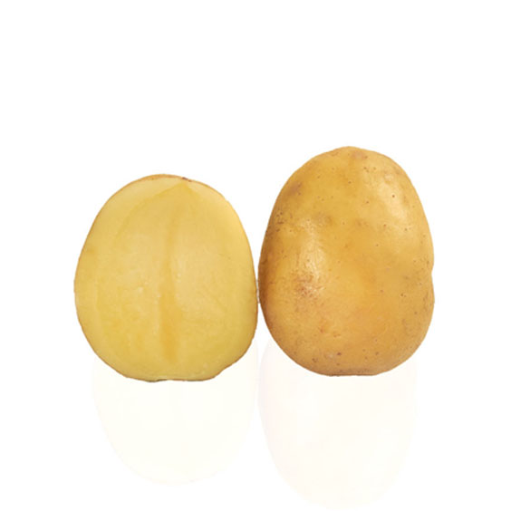 Sättpotatis Empress (Storlek: 1kg)