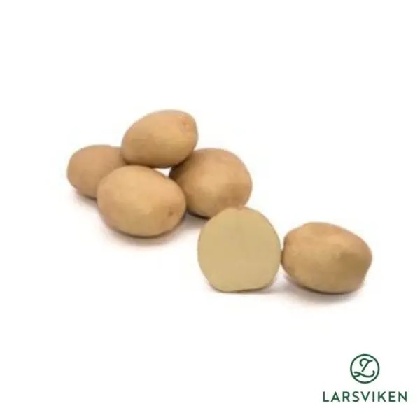 Sättpotatis Laperla (Storlek: 1kg)