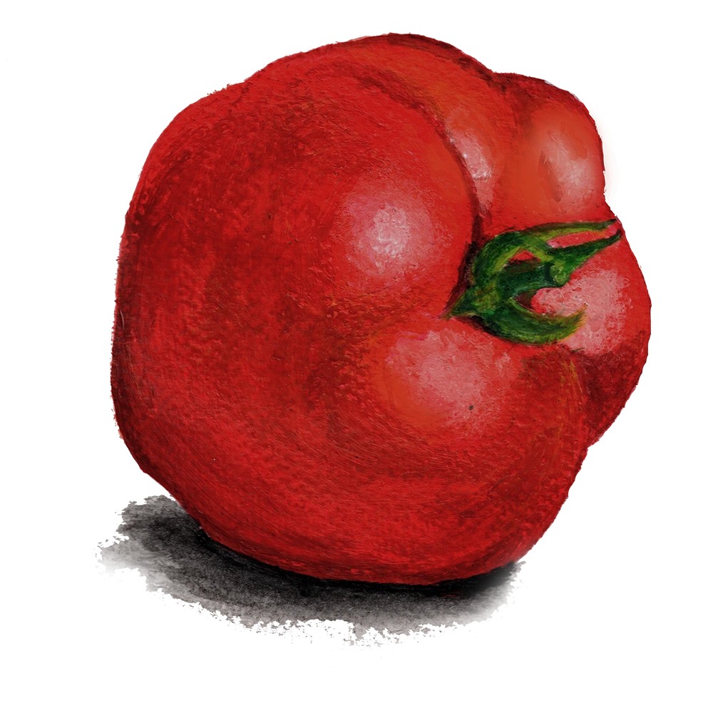 V&auml;xthustomat Odessa - Solanum lycopersicum Odessa