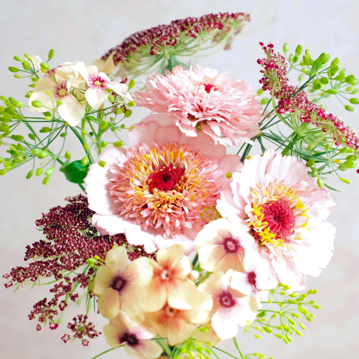 Läs mer om Fröbox Wild Bouquets Pink Caramel Collection
