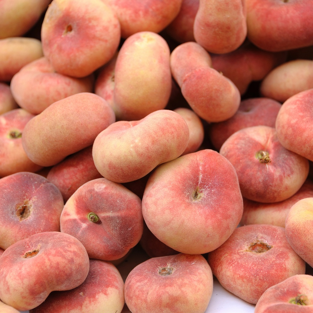 Plattpersika vriga Frukttr d Frukttr d