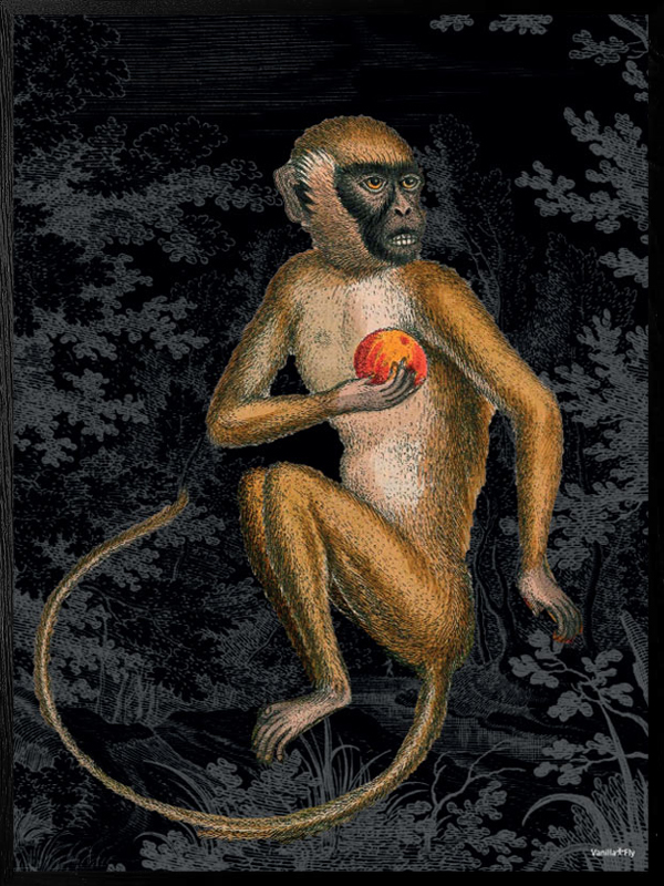 Poster Monkey Black 30x40cm